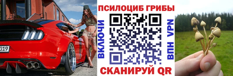 Галлюциногенные грибы Psilocybine cubensis  Шагонар 